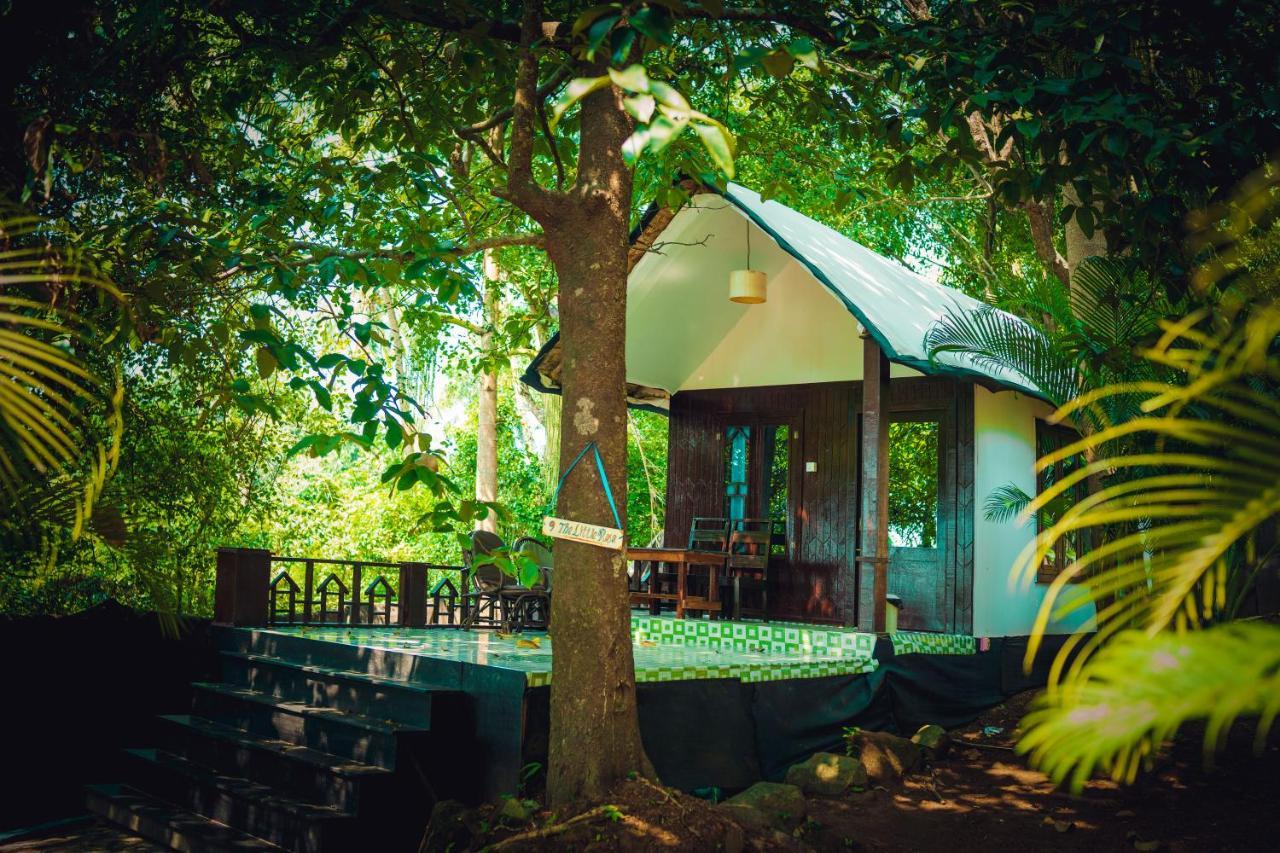 La La Land Resort Goa By Spicy Mango Palolem Exterior foto